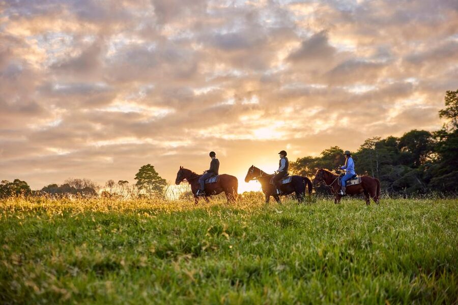 Kuranda: 60 minute Guided Horse Trail Ride & Petting Farm - Feeding at the mini petting zoo and the later petting farm visit