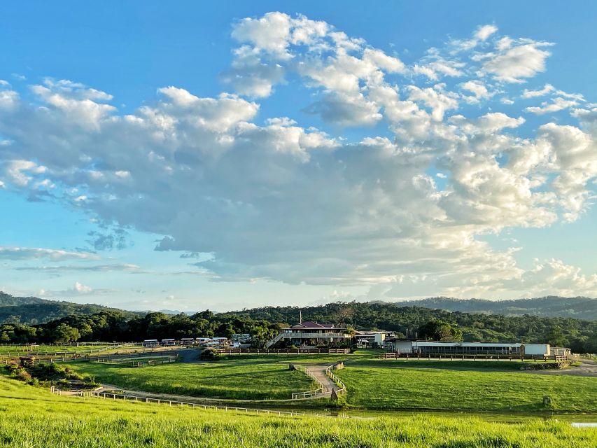 Kuranda: 60 minute Guided Horse Trail Ride & Petting Farm - Group size and pacing: why it feels better with only 10 people