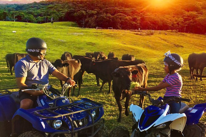 Kuranda 60 minute Quad Bike Experience and Petting Farm - The ATV Plan: Helmets On, Pace Guided, Safety First