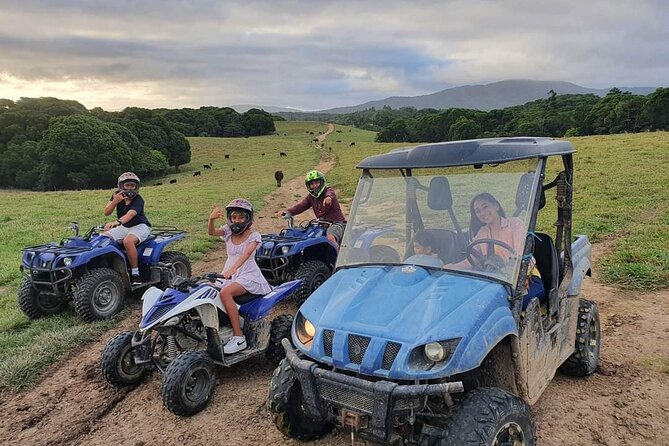Kuranda 60 minute Quad Bike Experience and Petting Farm - Stop at KUR-Cow Barnwell Farm: Meeting the Animals After the Ride