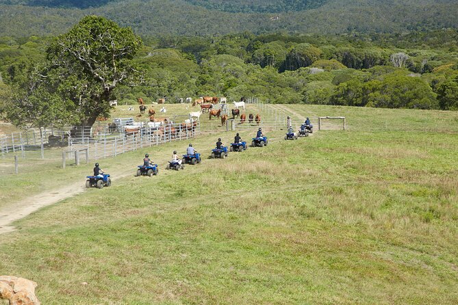Kuranda 60 minute Quad Bike Experience and Petting Farm - The Human Touch: Linda’s Fast Help Makes Planning Easier