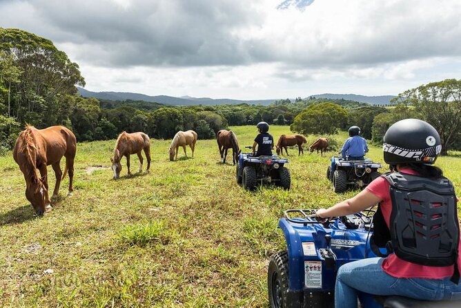 Kuranda 60 minute Quad Bike Experience and Petting Farm - How Long It Takes: Building a Day Around 3 Hours