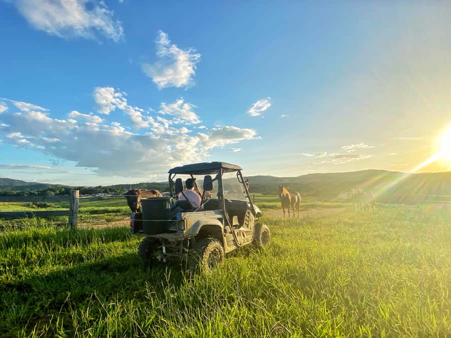 Kuranda: Quad Ride Bike and petting farm - Kuranda Quad Ride and Petting Farm: what you get in 2 hours