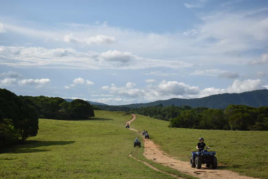 Kuranda: Quad Ride Bike and petting farm - The 60-minute quad bike ride: rainforest tracks, paddocks, and wildlife