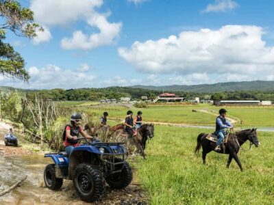 Kuranda: Quad Ride Bike and petting farm - Arriving at KUR-Cow Barnwell Farm from Cairns