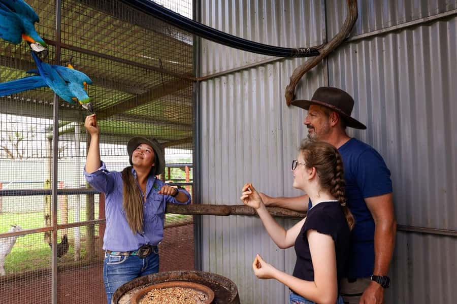 Kuranda: Quad Ride Bike and petting farm - The KUR-Cow petting farm stop: feed, pat, and slow down