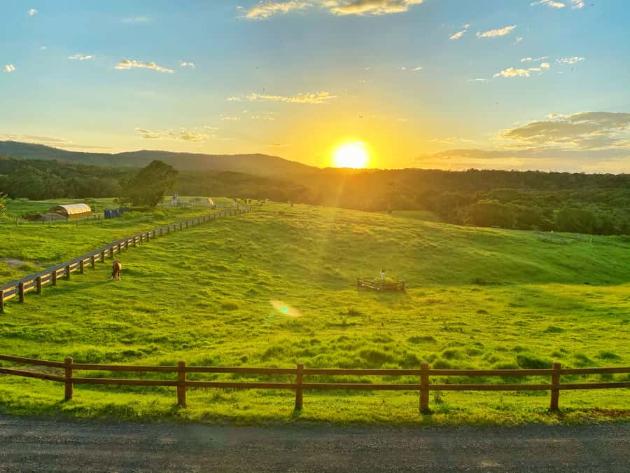 Kuranda: Quad Ride Bike and petting farm - Timing, weather, and what can change