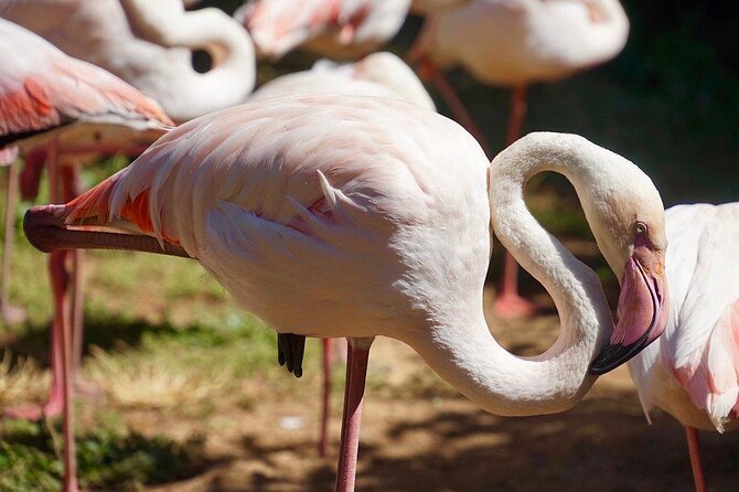 Lagos Zoo Admission Ticket - Quick hits before you go