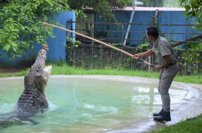 Langkawi: Wildlife Park Admission Ticket - What fully-covered means for your comfort in Langkawi