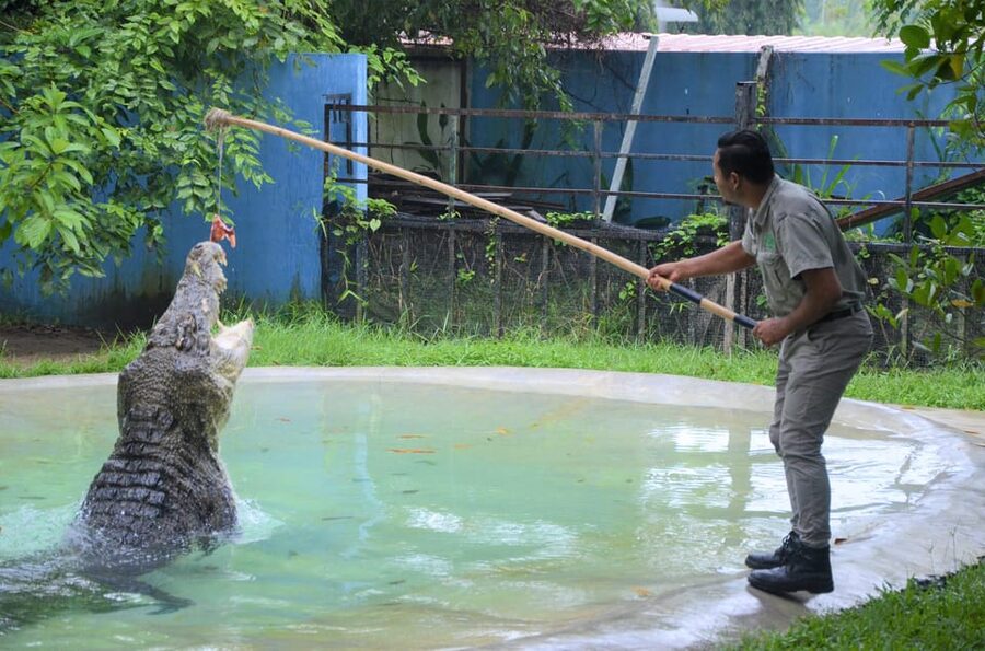 Langkawi: Wildlife Park Admission Ticket - What fully-covered means for your comfort in Langkawi