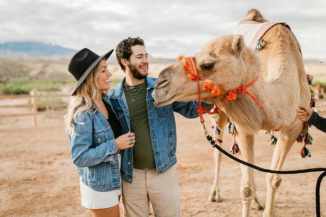 Las Vegas Guided UTV Safari and Zoo Tour - Key highlights you’ll care about