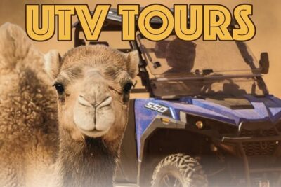 Las Vegas Guided UTV Safari and Zoo Tour - Virgin River splash stop: fun, but plan for water
