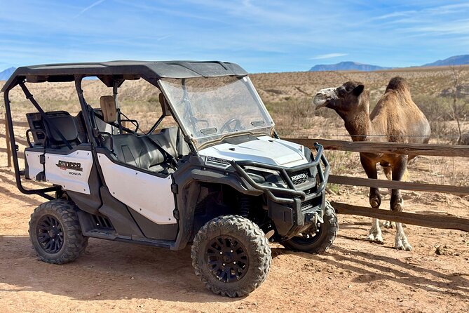 Las Vegas Guided UTV Safari and Zoo Tour - Group size of 15: why that matters for the flow