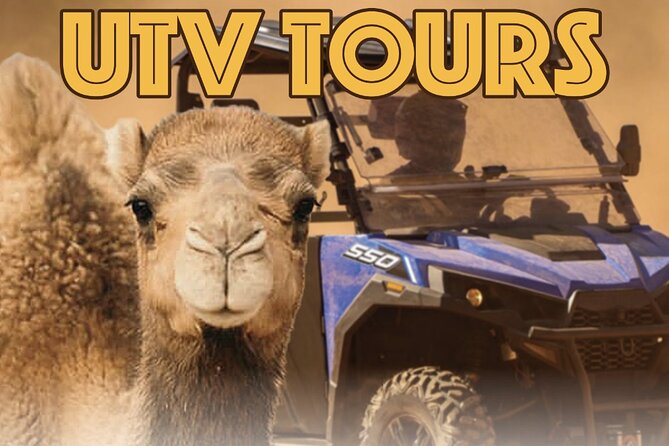 Las Vegas Guided UTV Safari and Zoo Tour - Virgin River splash stop: fun, but plan for water