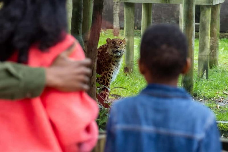 Leicestershire: Twycross Zoo Entry Ticket - Key things to know before you go