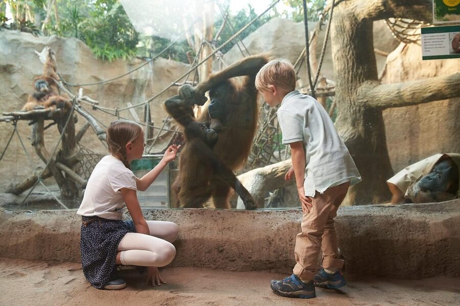Leipzig Zoo: Entry Ticket - Who Should Buy This Zoo Entry Ticket?