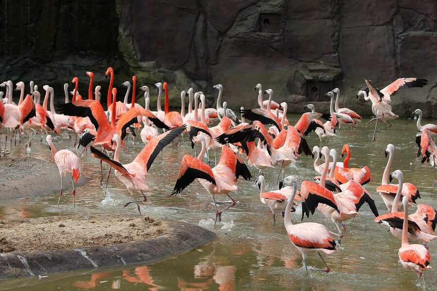 Leipzig Zoo: Entry Ticket - Price and Value: Is the $22 Entry Ticket Worth It?