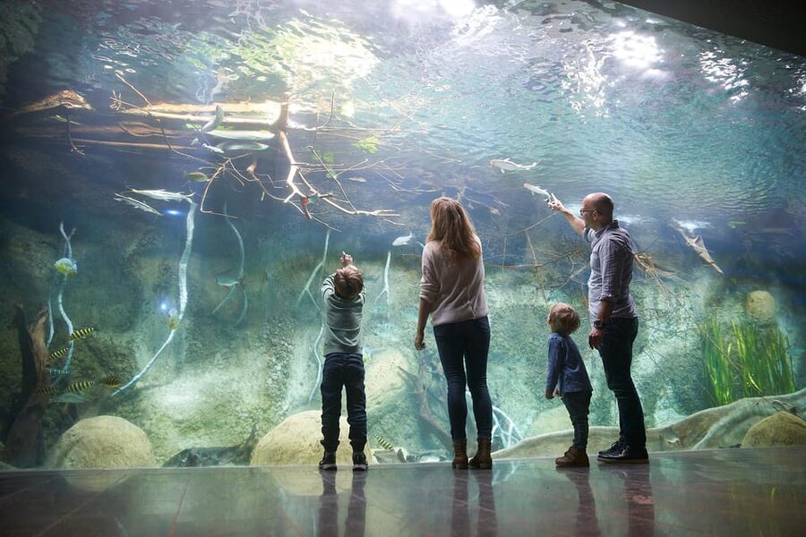 Leipzig Zoo: Entry Ticket - Rules That Matter: What You Can Bring and How to Prepare