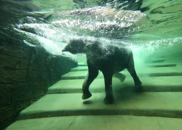 Leipzig Zoo: Entry Ticket - Gondwanaland: Europe’s Largest Indoor Rainforest Hall
