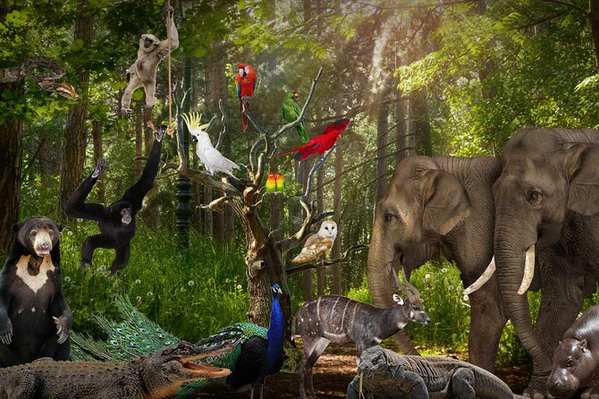 Lombok Wildlife Park Ticket - Lunch at the Two Eateries: Build a Comfortable Half-Day