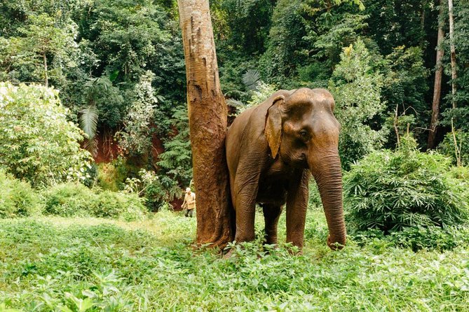 Lombok Wildlife Park Ticket - Getting There and Finding the Redemption Point Without Stress