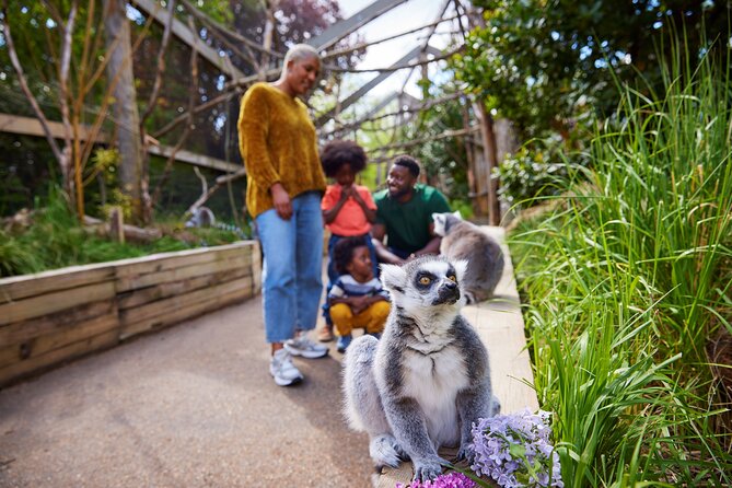 London Zoo: Entry Ticket - Entering London Zoo: voucher desk, skip-the-line, and where to start