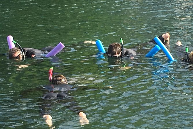Manatee Snorkeling Adventure Tour with Lunch & Hotel Pickup - Orlando pickup and a small-group schedule that actually feels manageable