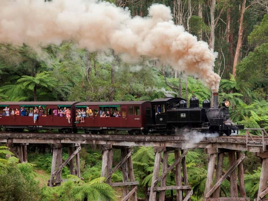 Melbourne: Puffing Billy Train Wildlife Zoo Private Tour - Key highlights worth planning for