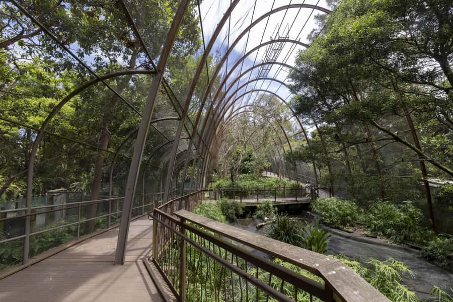 Melbourne Zoo: Australian Wildlife Experience Ticket - Great Flight Aviary: Bird Calls You Can Actually Hear