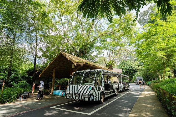 Morning at the Zoo with 1-way Transfer (Free & Easy) - Getting there with one-way transfer: smooth when it matches your expectations
