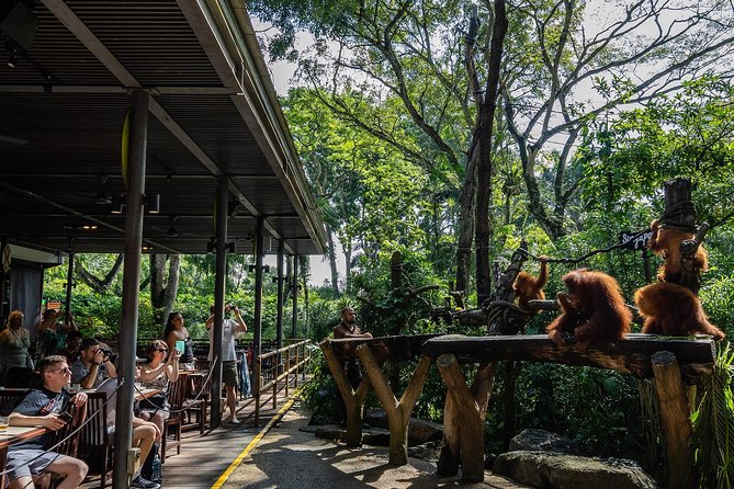 Morning at the Zoo with 1-way Transfer (Free & Easy) - Guided commentary: the difference between seeing and understanding