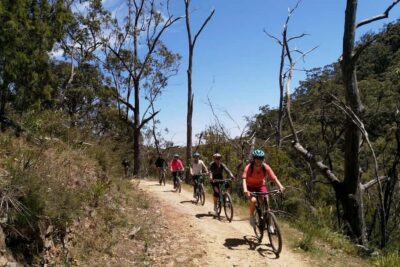 Mount Lofty Downhill Bike Tour & Cleland Wildlife Park Visit - The start in Adelaide: pickup and summit reality check