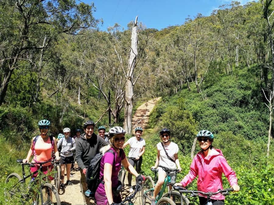 Mount Lofty Downhill Bike Tour & Cleland Wildlife Park Visit - Riding through Cleland Conservation Park: the downhill that actually delivers
