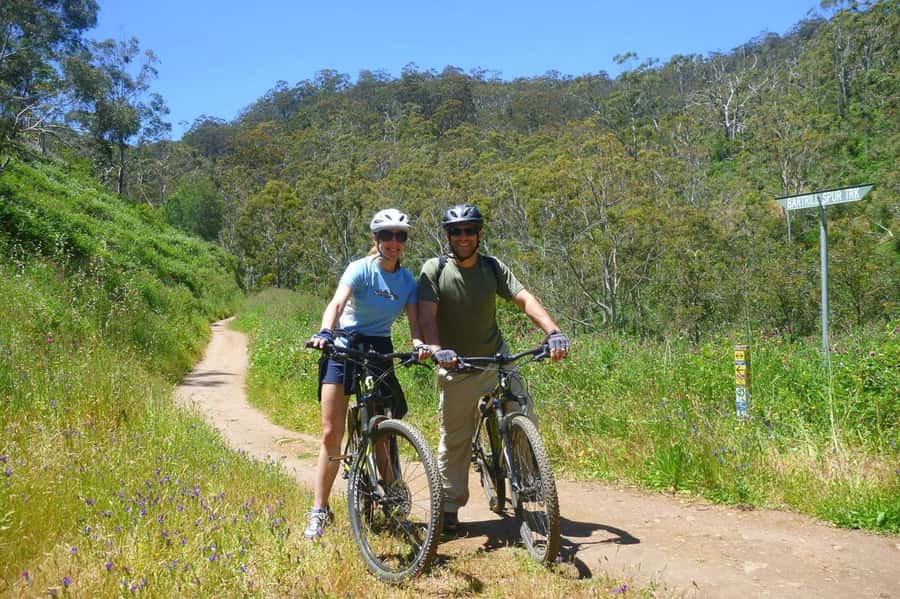 Mount Lofty Downhill Bike Tour & Cleland Wildlife Park Visit - Small group feel: why a 10-person limit matters