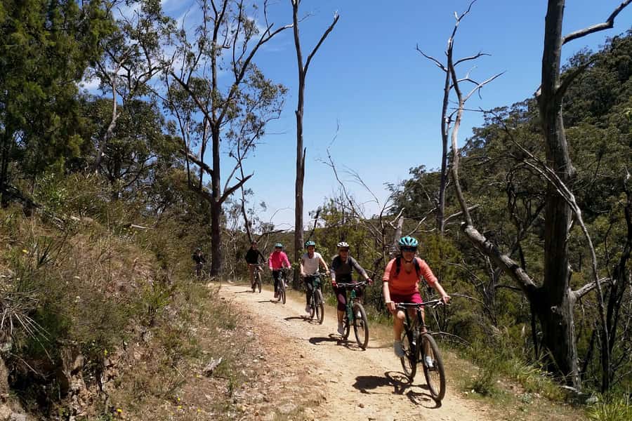 Mount Lofty Downhill Bike Tour & Cleland Wildlife Park Visit - The start in Adelaide: pickup and summit reality check