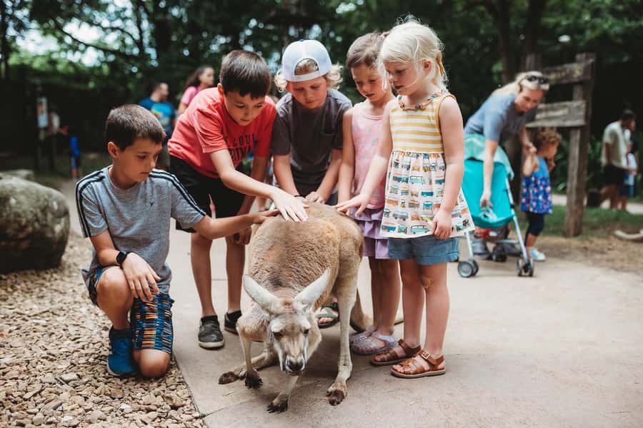 Nashville Zoo: Any-Day Admission Ticket - Key things to know before you go