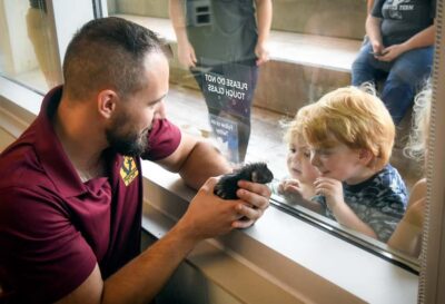 Nashville Zoo: Any-Day Admission Ticket - Getting In Fast: Skip-the-Line and Why Parking Helps