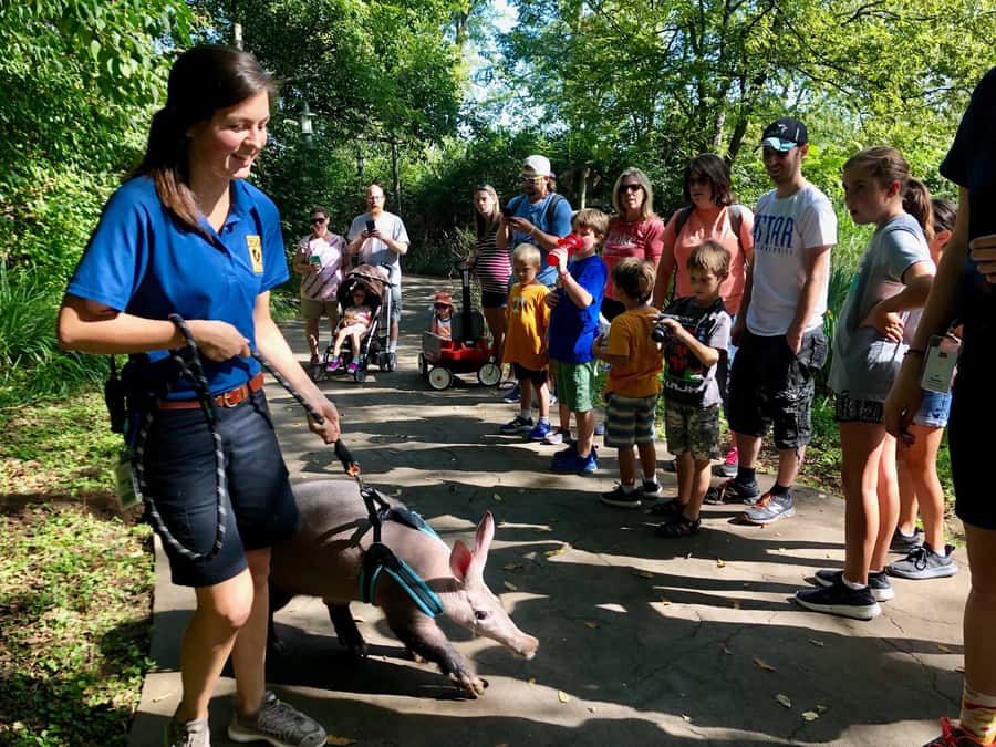 Nashville Zoo: Any-Day Admission Ticket - Up-Close Moments: Kangaroo Kickabout, Lorikeet Landing, and Critter Encounters