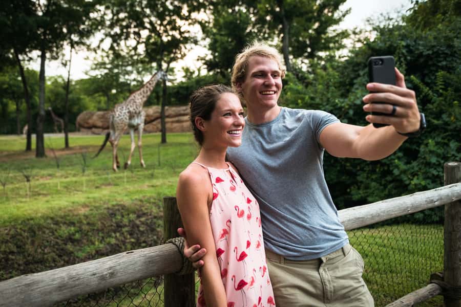 Nashville Zoo: Any-Day Admission Ticket - Shows and Talks: Amphitheater Animal Show and Keeper Talks