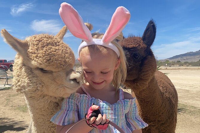 Nature Health Farms Alpaca Farm Petting Zoo Pahrump Death Valley - Key Highlights You’ll Actually Use