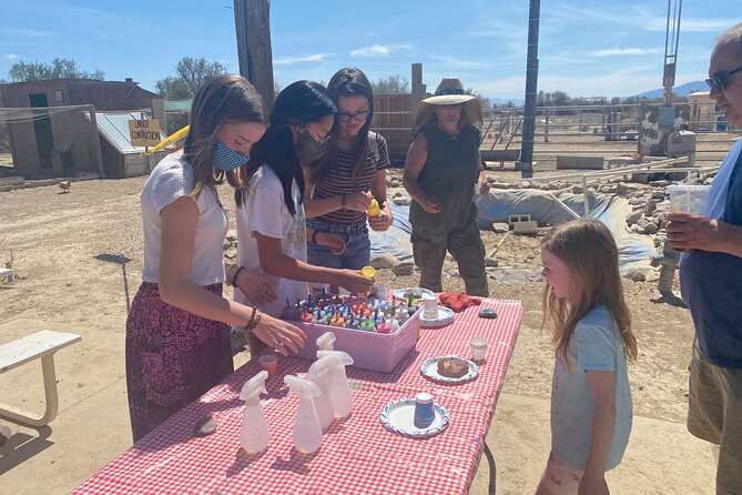 Nature Health Farms Alpaca Farm Petting Zoo Pahrump Death Valley - A Quick Read on Nature Health Farms in Pahrump