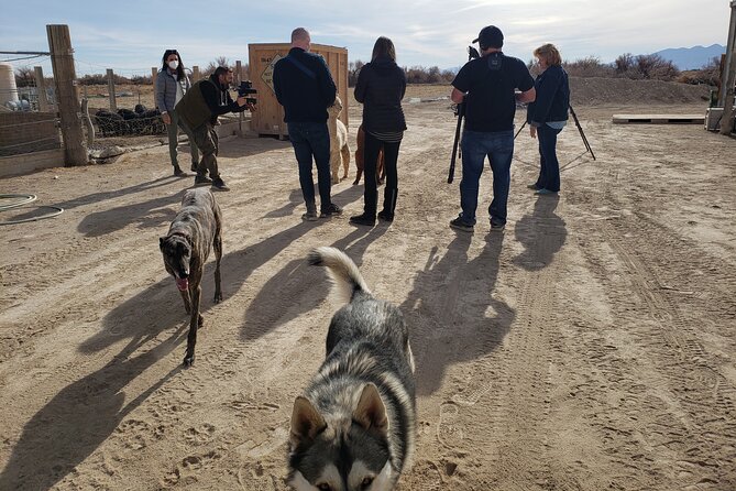 Nature Health Farms Alpaca Farm Petting Zoo Pahrump Death Valley - The Barnyard Cast: Ostriches and More Than One Kind of Animal