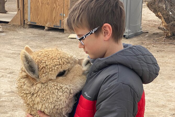 Nature Health Farms Alpaca Farm Petting Zoo Pahrump Death Valley - Your Visit Flow: How the Time (30 Minutes to 3 Hours) Feels