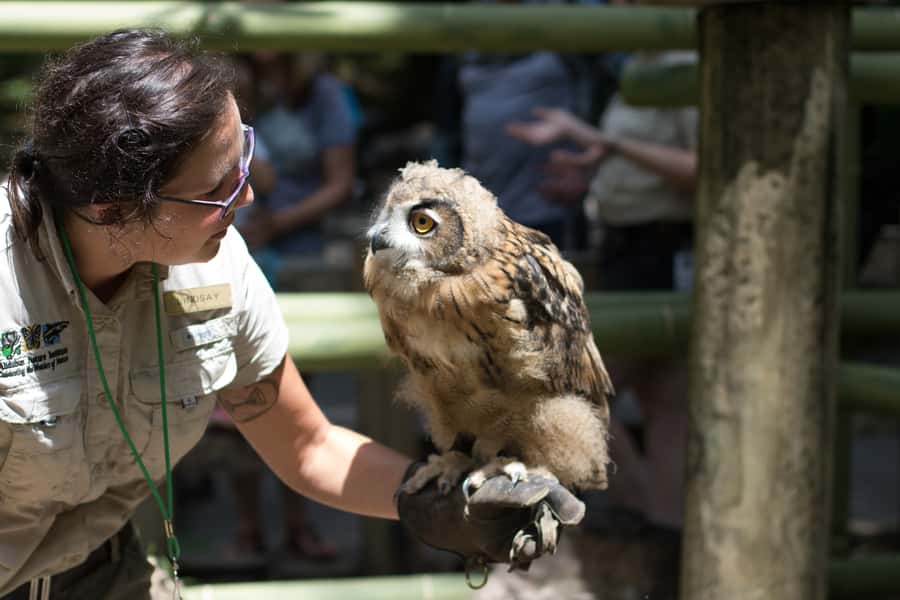New Orleans: Audubon Zoo or Combo Ticket - The combo side: Aquarium and Insectarium/Butterfly Garden options