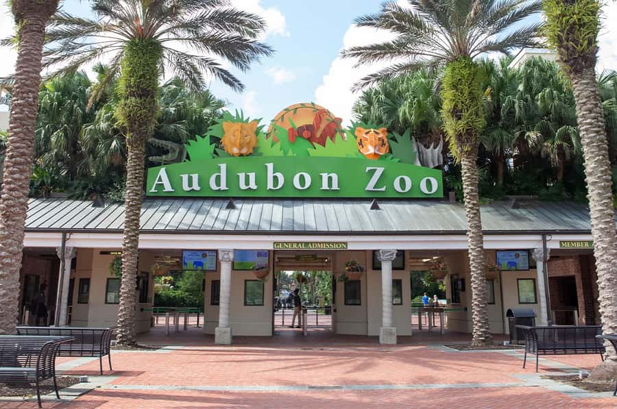 New Orleans: Audubon Zoo or Combo Ticket - Audubon Zoo or the Combo: What you’re actually buying