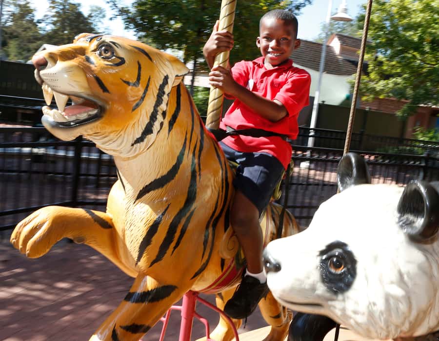 New Orleans: Audubon Zoo or Combo Ticket - Monkey Hill’s five-level treehouse views