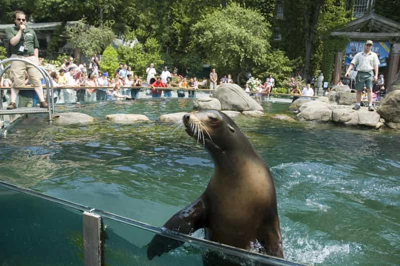 NYC: Central Park Zoo Entry Ticket & Manhattan Walking Tour - Five Points, Chinatown, and Little Italy: when the senses do half the work