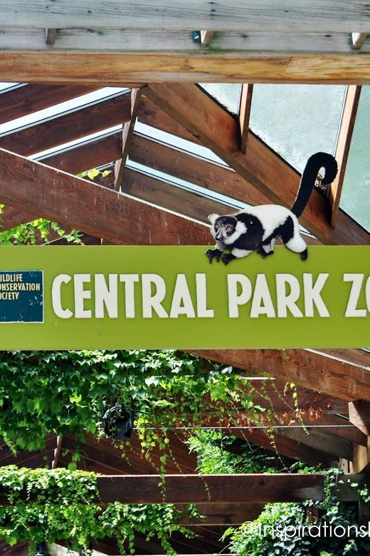 NYC: Central Park Zoo Entry Ticket & Manhattan Walking Tour - Flatiron Building finish: a clean handoff before Central Park Zoo