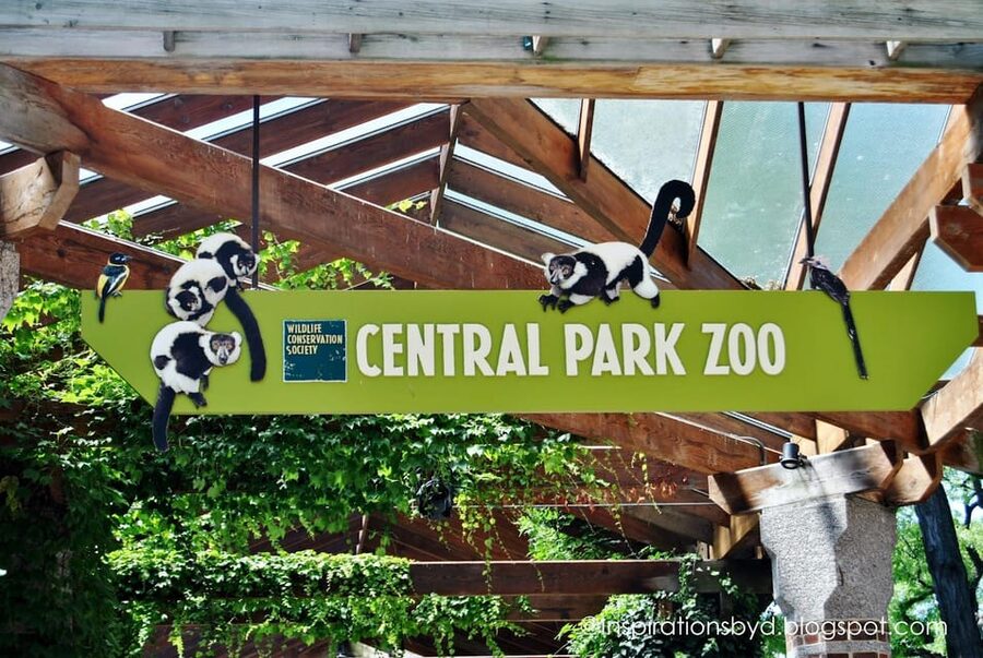 NYC: Central Park Zoo Entry Ticket & Manhattan Walking Tour - Who this fits best (and who might get annoyed)