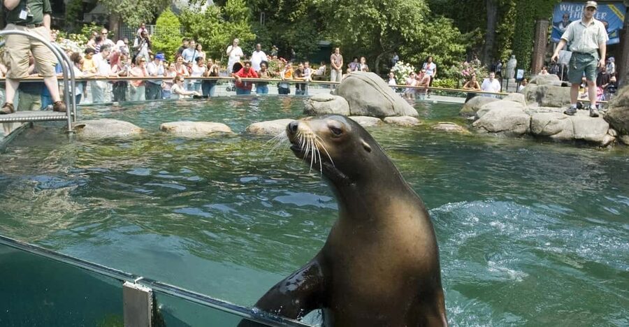 NYC: Central Park Zoo Entry Ticket & Manhattan Walking Tour - Price and value: is $57 worth it?